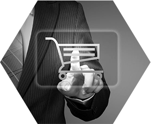 电商/商城平台开发